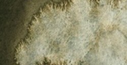 SCHMINCKE HORADAM SUPER GRANULATION MEZZO GODET FOREST GREY N. 945
