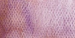 SCHMINCKE HORADAM SUPER GRANULATION HALBES NÄPFCHEN GALAXY PINK NR. 971