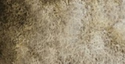 SCHMINCKE HORADAM SUPER GRANULATION HALBES NÄPFCHEN HAZE BROWN NR. 969