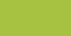LEFRANC BOURGEOIS ÓLEO FINO YELLOW GREEN LIGHT Nº 590