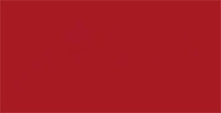 AMSTERDAM COLORI ACRILICI IN SPRAY BURNT SIENNA N. 411