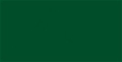 AMSTERDAM COLORI ACRILICI IN SPRAY PERMANENT GREEN DEEP N. 619
