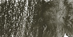 DERWENT INKTENSE MATITA EFFETTO INCHIOSTRO BARK N. 2000