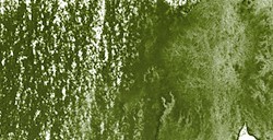 DERWENT INKTENSE MATITA EFFETTO INCHIOSTRO LEAF GREEN N. 1600
