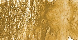 DERWENT INKTENSE MATITA EFFETTO INCHIOSTRO MUSTARD N. 1700