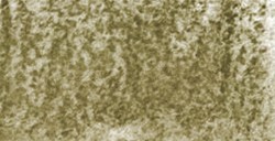 DERWENT TINTED CHARCOAL MATITA DARK MOSS