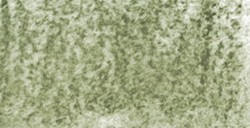 DERWENT TINTED CHARCOAL MATITA GREEN MOSS