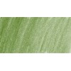 DERWENT LIGHTFAST FOLIAGE