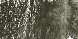 DERWENT INKTENSE MATITA EFFETTO INCHIOSTRO DARK CHOCOLATE N. 1930