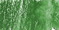 DERWENT INKTENSE MATITA EFFETTO INCHIOSTRO FERN N. 1560