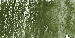 DERWENT INKTENSE MATITA EFFETTO INCHIOSTRO LIGHT OLIVE N. 1540