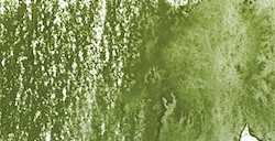 DERWENT INKTENSE MATITA EFFETTO INCHIOSTRO OLIVINE N. 1340