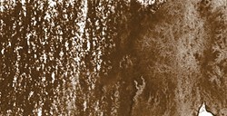 DERWENT INKTENSE MATITA EFFETTO INCHIOSTRO OAK N. 1730