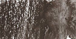 DERWENT INKTENSE MATITA EFFETTO INCHIOSTRO STORM DUST N. 2107