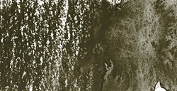 DERWENT INKTENSE MATITA EFFETTO INCHIOSTRO INDIAN INK N. 2020