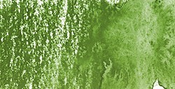 DERWENT INKTENSE MATITA EFFETTO INCHIOSTRO FELT GREEN N. 1530