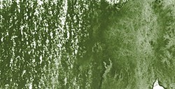 DERWENT INKTENSE MATITA EFFETTO INCHIOSTRO BEECH GREEN N. 1510