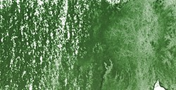 DERWENT INKTENSE MATITA EFFETTO INCHIOSTRO HOOKERS GREEN N. 1520