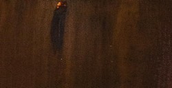 MAIMERI ÓLEO RESTAURO 20 ML PARDO DE GARANZA SERIE 2 Nº 474