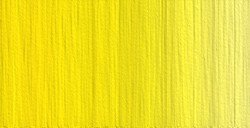 OLD HOLLAND NEW MASTERS COLORI ACRILICI CADMIUM YELLOW MEDIUM SERIE D N. 625