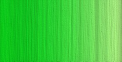 OLD HOLLAND NEW MASTERS COLORI ACRILICI OLD HOLLAND YELLOW GREEN SERIE B N. 702
