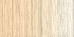 OLD HOLLAND NEW MASTERS COLORI ACRILICI TITANIUM BUFF DEEP SERIE A N. 607