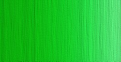 OLD HOLLAND NEW MASTERS COLORI ACRILICI OLD HOLLAND GREEN LIGHT SERIE B N. 701
