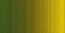 OLD HOLLAND NEW MASTERS COLORI ACRILICI OLD HOLLAND GREEN GOLD SERIE E N. 704