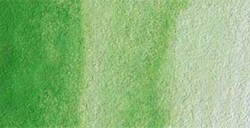 OLD HOLLAND CLASSIC ACQUERELLO CADMIUM GREEN LIGHT N. 044 SERIE 4