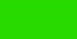 PÉBÉO SETACOLOR COLORI OPACHI PER TESSUTI SPRING GREEN N. 24
