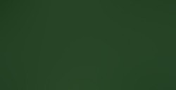 PÉBÉO SETACOLOR COLORI PER TESSUTI CHIARI MOSS GREEN N. 28