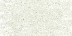 SENNELIER PASTELLO MORBIDO À L'ÉCU RESEDA GREY GREEN N. 216