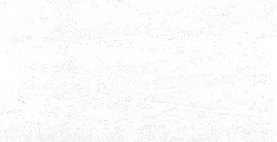 SENNELIER ÖLPASTELL GRAND MODELE MEDIUM TRANSPARENT NR. 221