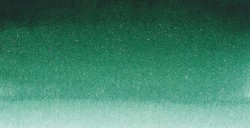 SENNELIER ACQUERELLO EXTRAFINE TUBETTO FOREST GREEN SERIE 1 N. 899