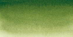 SENNELIER ACQUERELLO EXTRAFINE TUBETTO SAP GREEN SERIE 1 N. 819