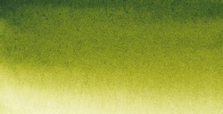 SENNELIER ACQUERELLO EXTRAFINE TUBETTO OLIVE GREEN SERIE 1 N. 813