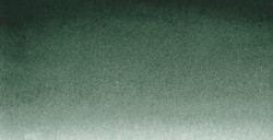 SENNELIER ACQUERELLO EXTRAFINE TUBETTO GREENISH UMBER SERIE 1 N. 203