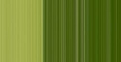 SENNELIER COLORI AD OLIO EXTRAFINI CHROMIUM GREEN LIGHT SERIE 3 N. 805