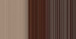 SENNELIER COLORI AD OLIO EXTRAFINI BURNT UMBER SERIE 1 N. 202
