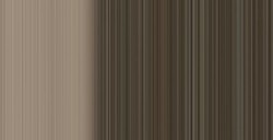 SENNELIER COLORI AD OLIO EXTRAFINI RAW UMBER SERIE 1 N. 205