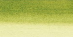 SENNELIER INCHIOSTRO DA DISEGNO OLIVE GREEN N. 813