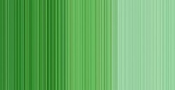 DALER ROWNEY GEORGIAN COLORI AD OLIO PERMANENT GREEN LIGHT N. 347