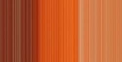 DALER ROWNEY GEORGIAN COLORI AD OLIO BURNT SIENNA N. 221