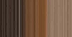 DALER ROWNEY GEORGIAN COLORI AD OLIO BURNT UMBER N. 223