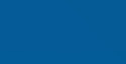 DALER ROWNEY FW ARTISTS INCHIOSTRO ACRILICO LIQUIDO ROWNEY BLUE N. 119