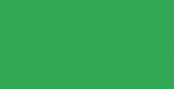 DALER ROWNEY TINTA ACRÍLICA LÍQUIDA FW ARTIST VERDE ESMERALDA (EMERALD GREEN) Nº 335
