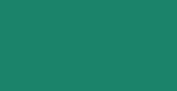 DALER ROWNEY TINTA ACRÍLICA LÍQUIDA FW ARTIST VERDE OSCURO (DARK GREEN) Nº 326