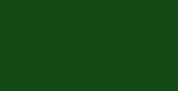 DALER ROWNEY TINTA ACRÍLICA LÍQUIDA FW ARTIST VERDE VEJIGA (SAP GREEN) Nº 375