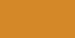 DALER ROWNEY TINTA ACRÍLICA LÍQUIDA FW ARTIST SIENA TOSTADA (RAW SIENNA) Nº 667