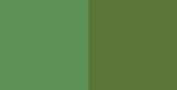 DALER ROWNEY AQUAFINE 2 MEDIOS GODETS SAP GREEN / OLIVE GREEN Nº 16